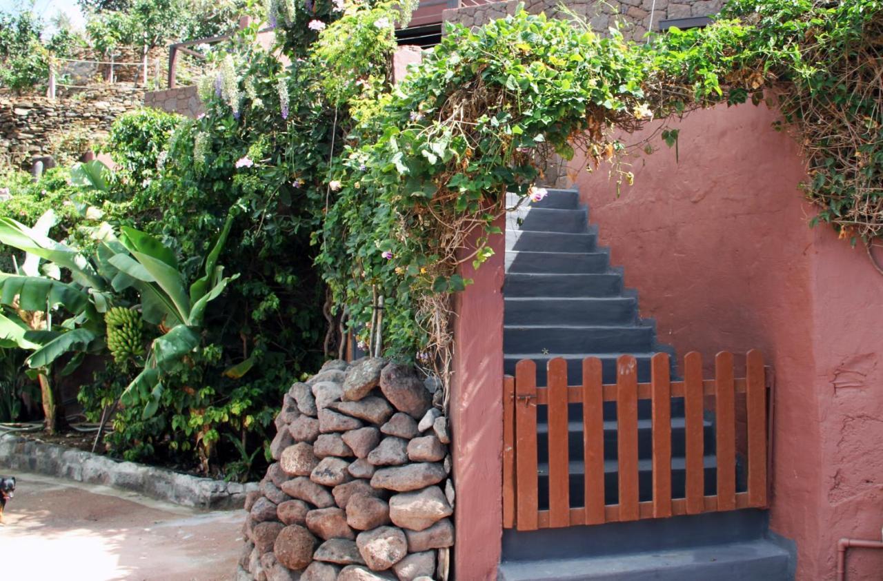 Tonono'S Village Santa Maria de Guia de Gran Canaria Exterior foto