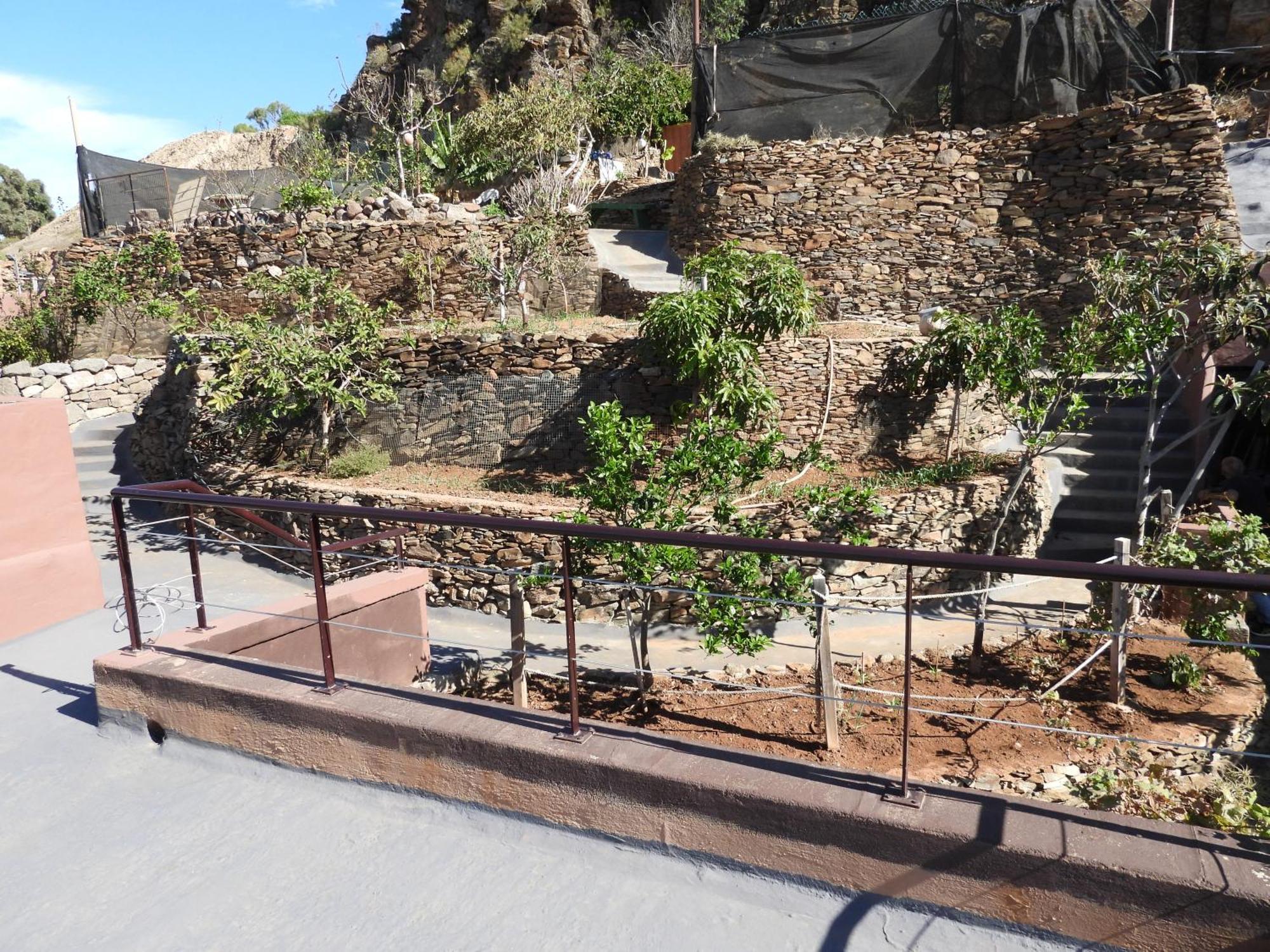 Tonono'S Village Santa Maria de Guia de Gran Canaria Exterior foto